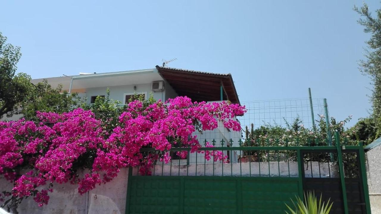 Apartment Baci Ksamil