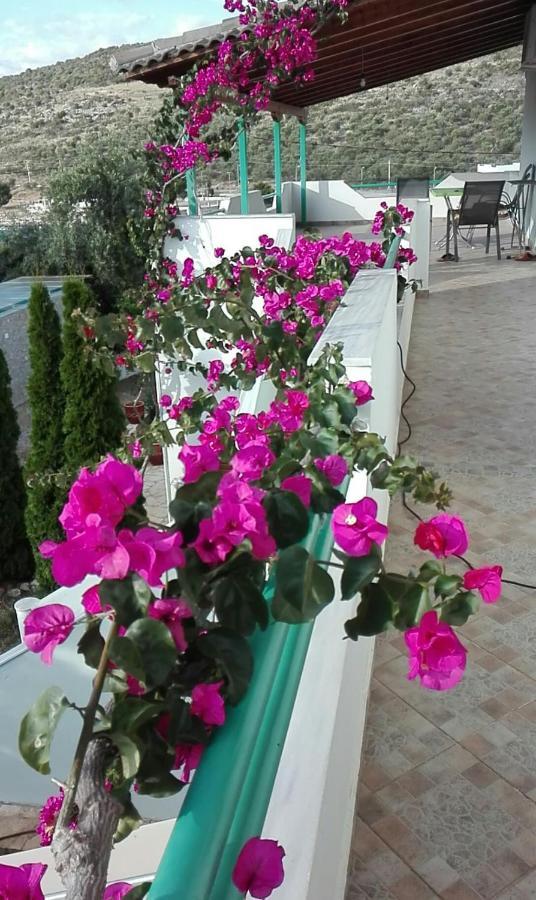Apartment Baci Ksamil